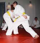 Sumo