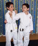 Arm Lock