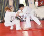 Sumo