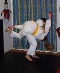 Hip Throw