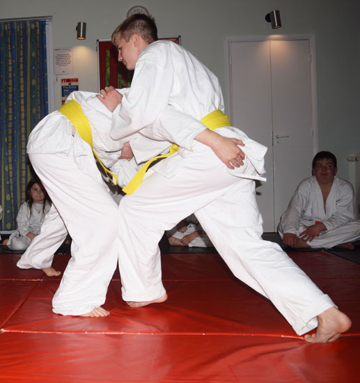 Sumo